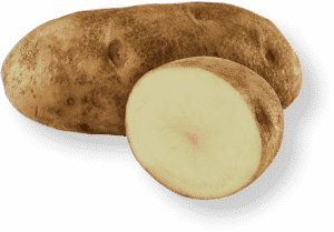 Russet Potato