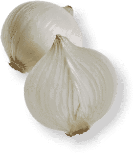 White Onion