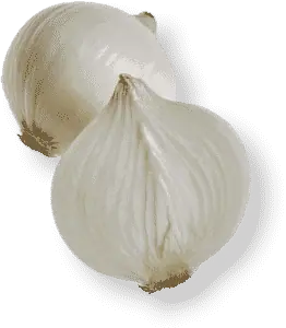 White Onion
