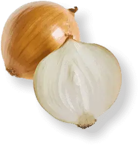 Yellow Onion