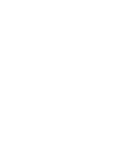 Grilled on a grill icon