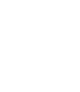 Raw onion icon