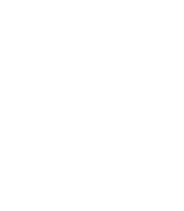 Oven roasted icon