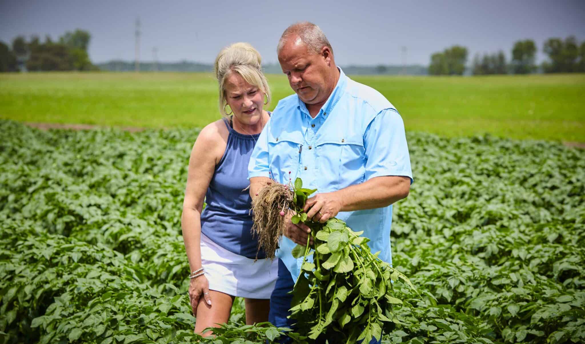 Ewing Farms Minnesota