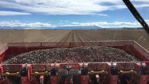 Hi-Land Potato Inc potatoes farm equipment