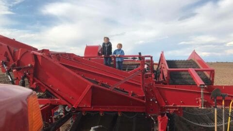 Hi-Land Potato Inc kids on farm equipment