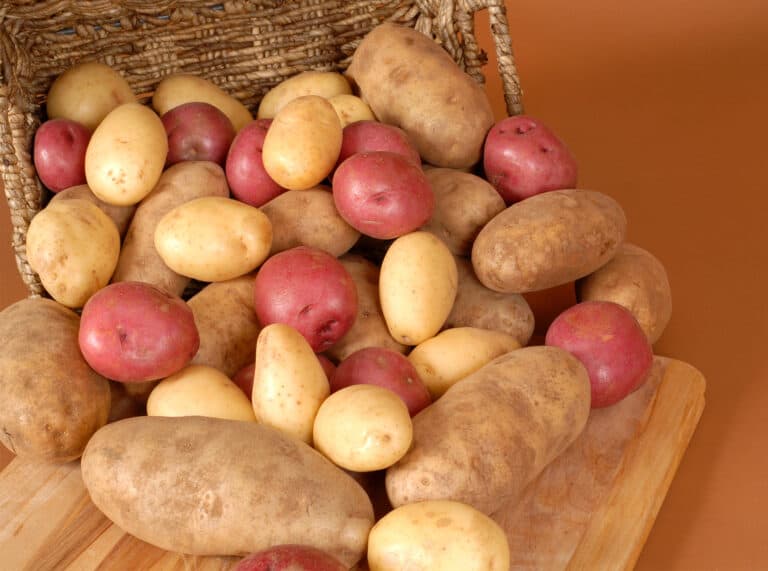 How to store potatoes