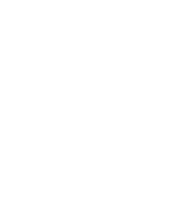 Salads icon