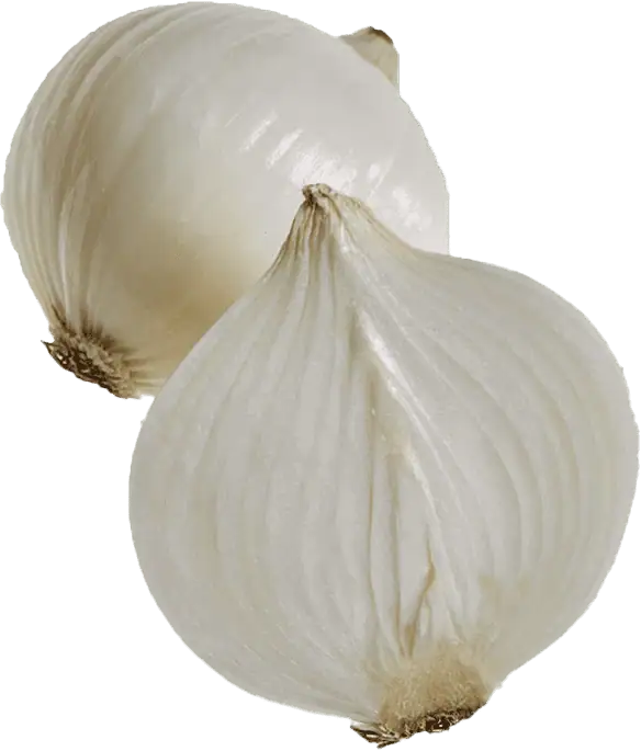 White Onion