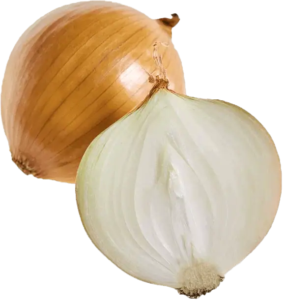 Yellow Onion