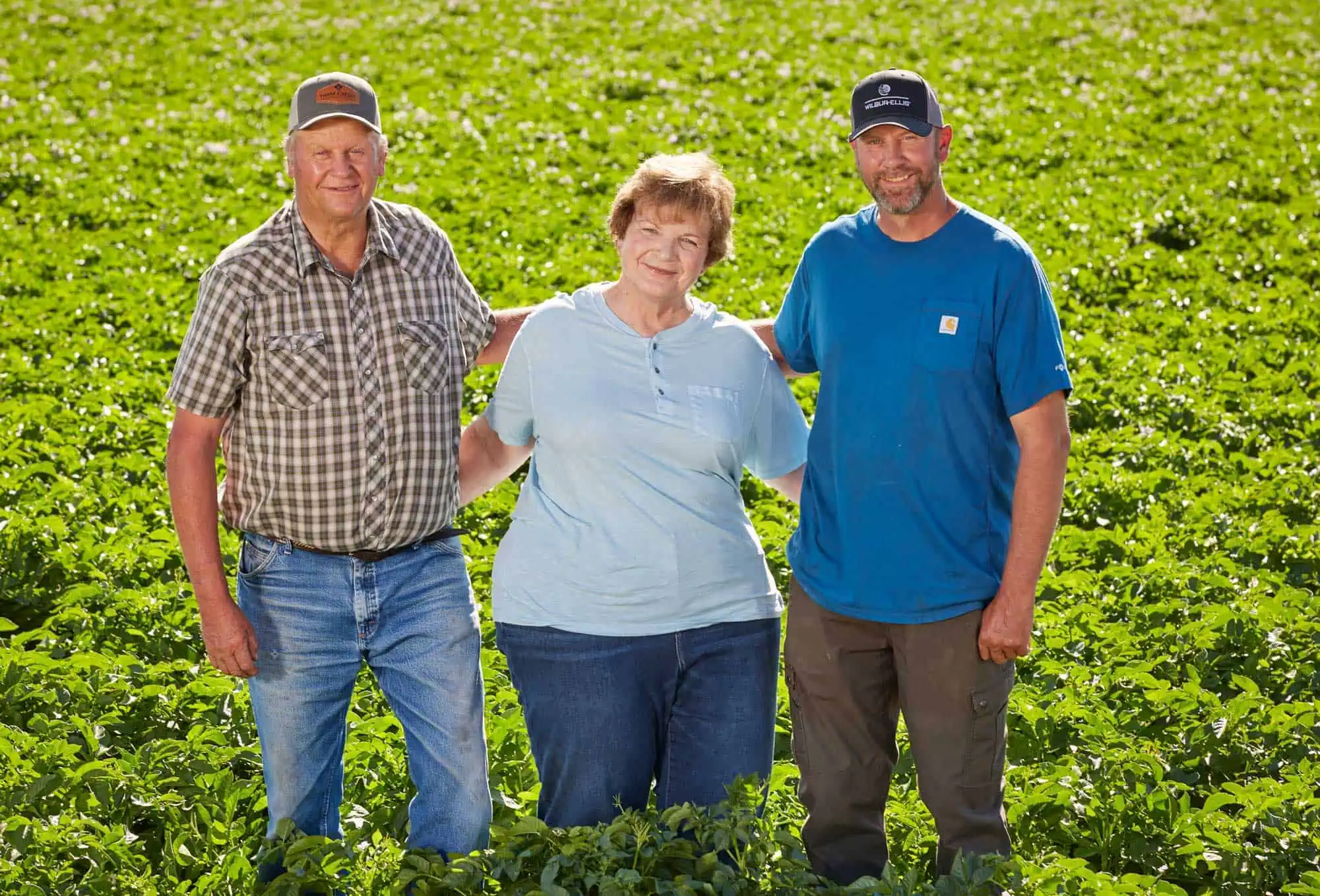 Triple M Farms 3