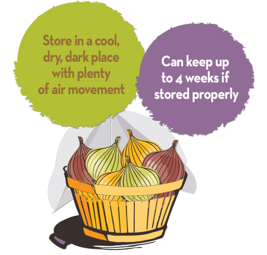 How to store onions graphic